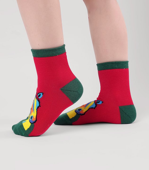 CLE Носки дет.С4554